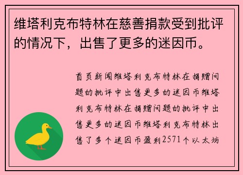 维塔利克布特林在慈善捐款受到批评的情况下，出售了更多的迷因币。